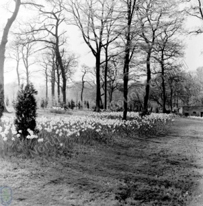 Northern Horticultural Society Gardens, 1960